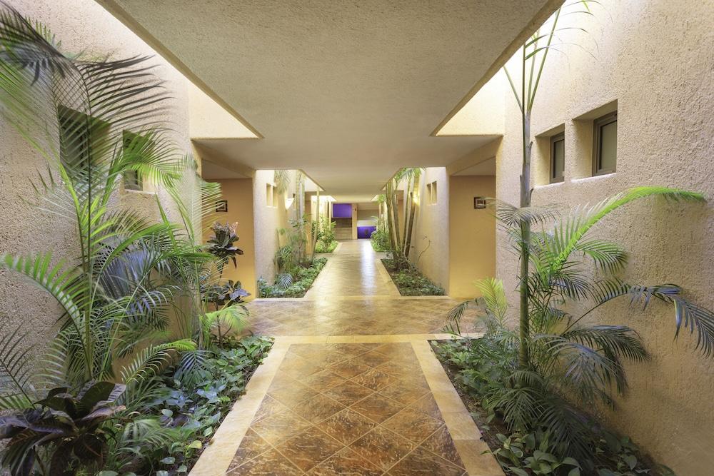 Hotel Los Patios Cabo San Lucas Eksteriør billede